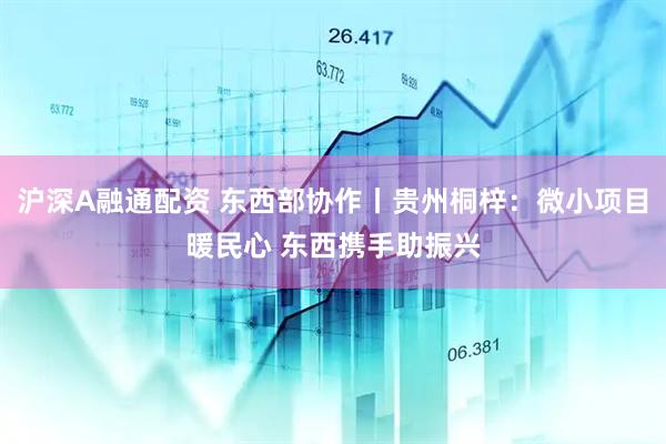 沪深A融通配资 东西部协作丨贵州桐梓：微小项目暖民心 东西携手助振兴